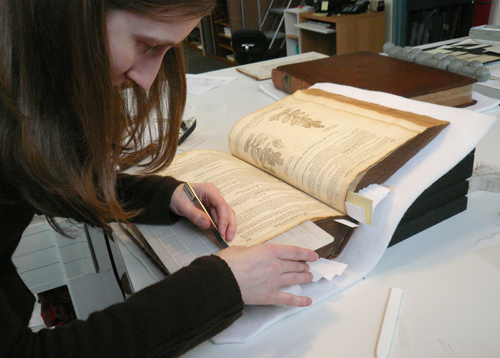 Conservator trims mends to volume