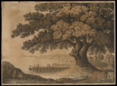 Philadelphia, from the Great Tree at Kensington