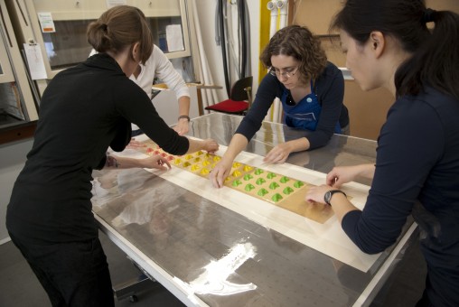 Three conservators line a sheet of candy bottoms