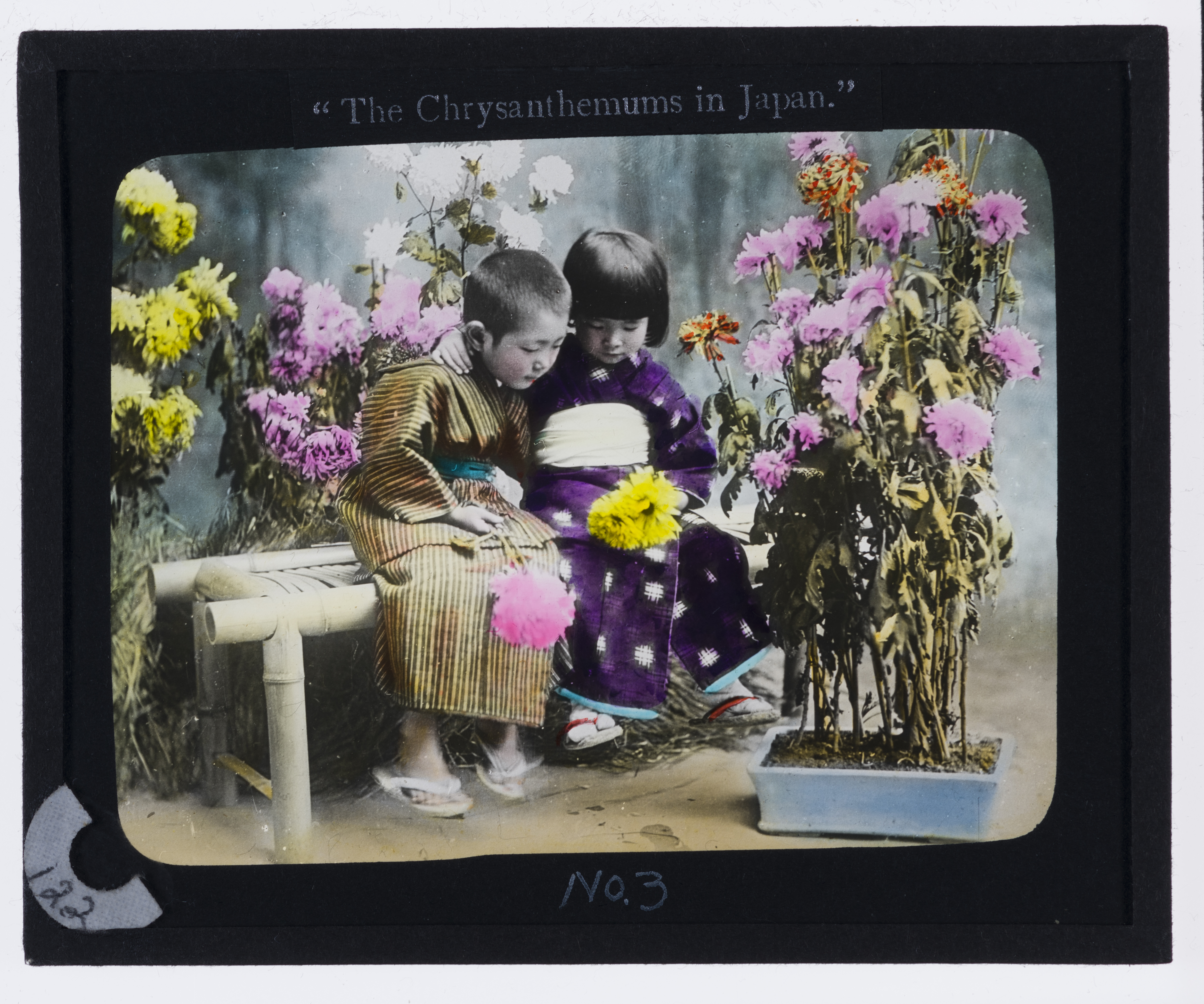 Children and chrysanthemums