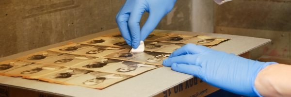 A conservator wearing blue gloves gently applies treatment to a page of historic mug shots