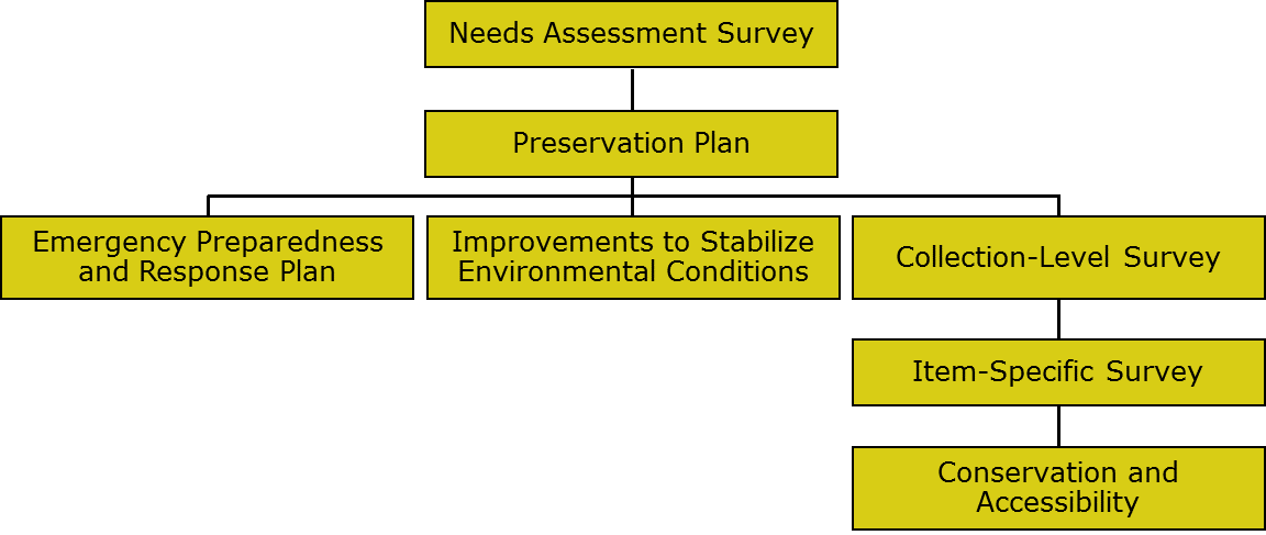 Ideal Preservation Process Infographic