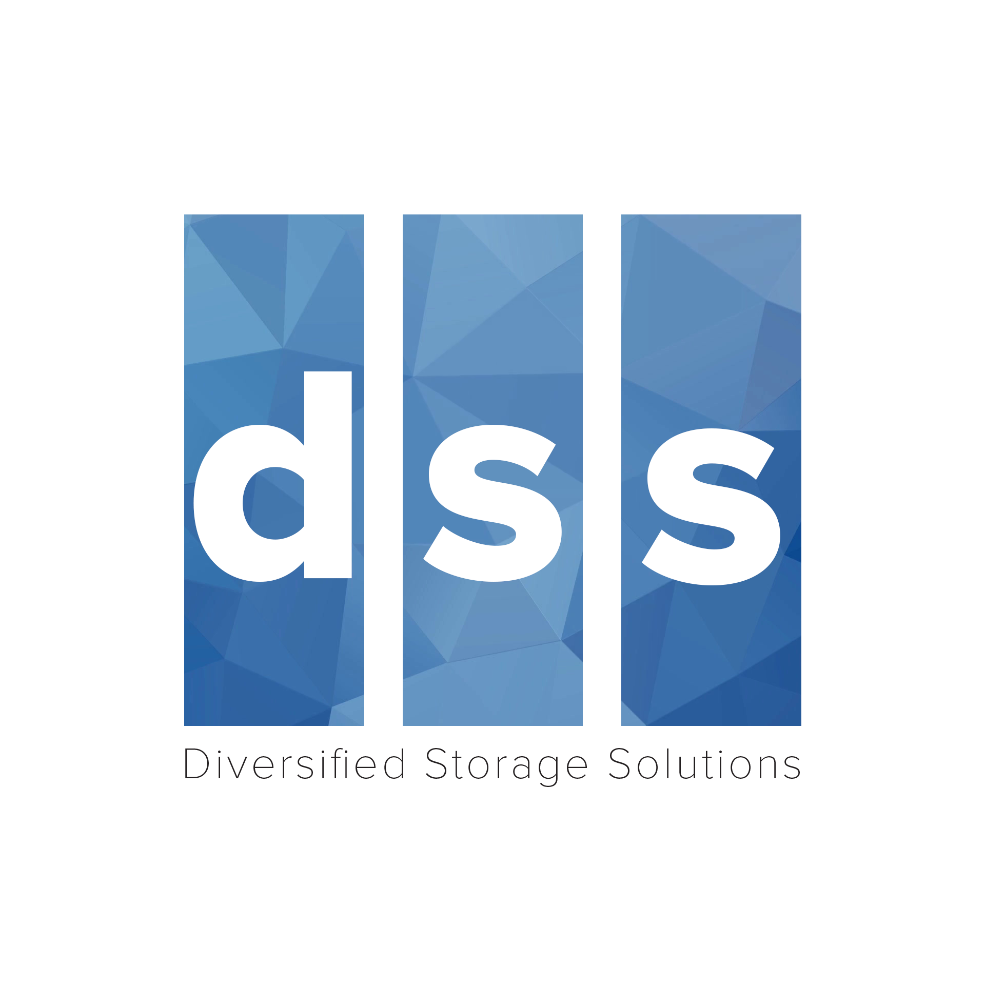 Diversified Storage Solutions logo