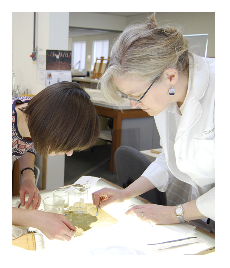 Barb working on a treatment on a light table.