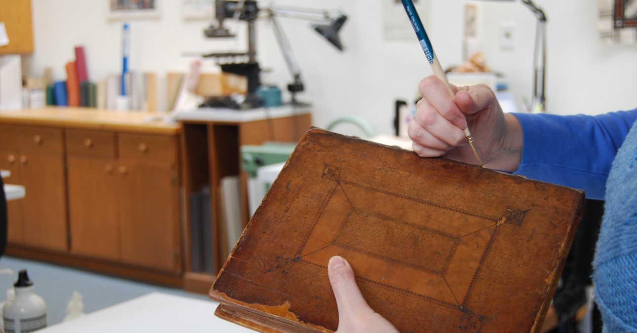 Inpainting the spine of a Newton volume