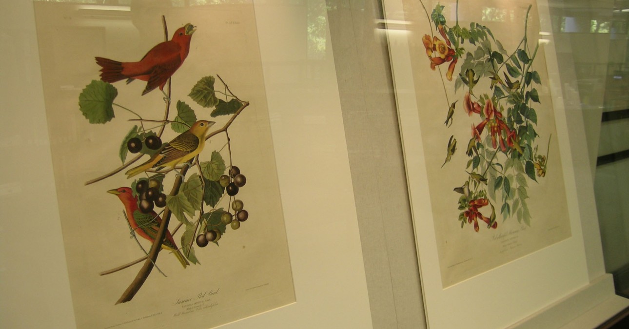 Display case at Maryland State Law Library