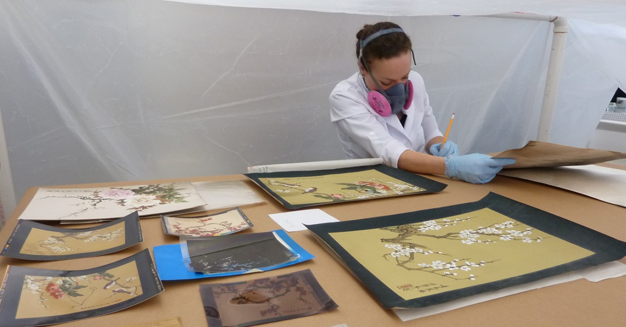 CCAHA Senior Conservation Assistant Jilliann Wilcox in 2017 treating a collection of fire-damaged paintings by I-Hsiung Ju