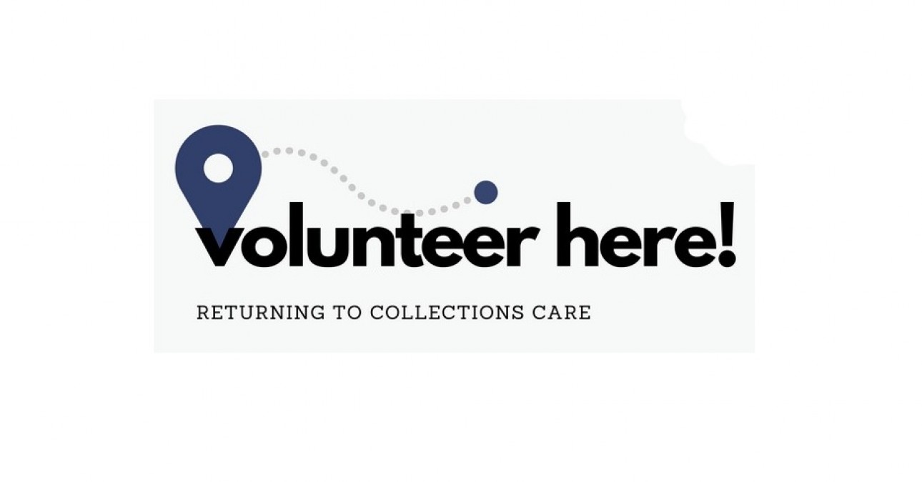 Logo for the Volunteer Here series